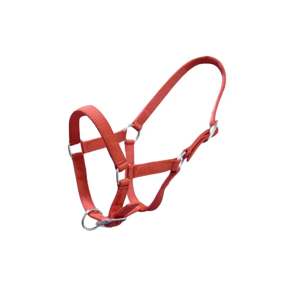 Horze Equivia Adjustable Halter, image 4 — Nice Equestrian, Wukair, Doha, Qatar
