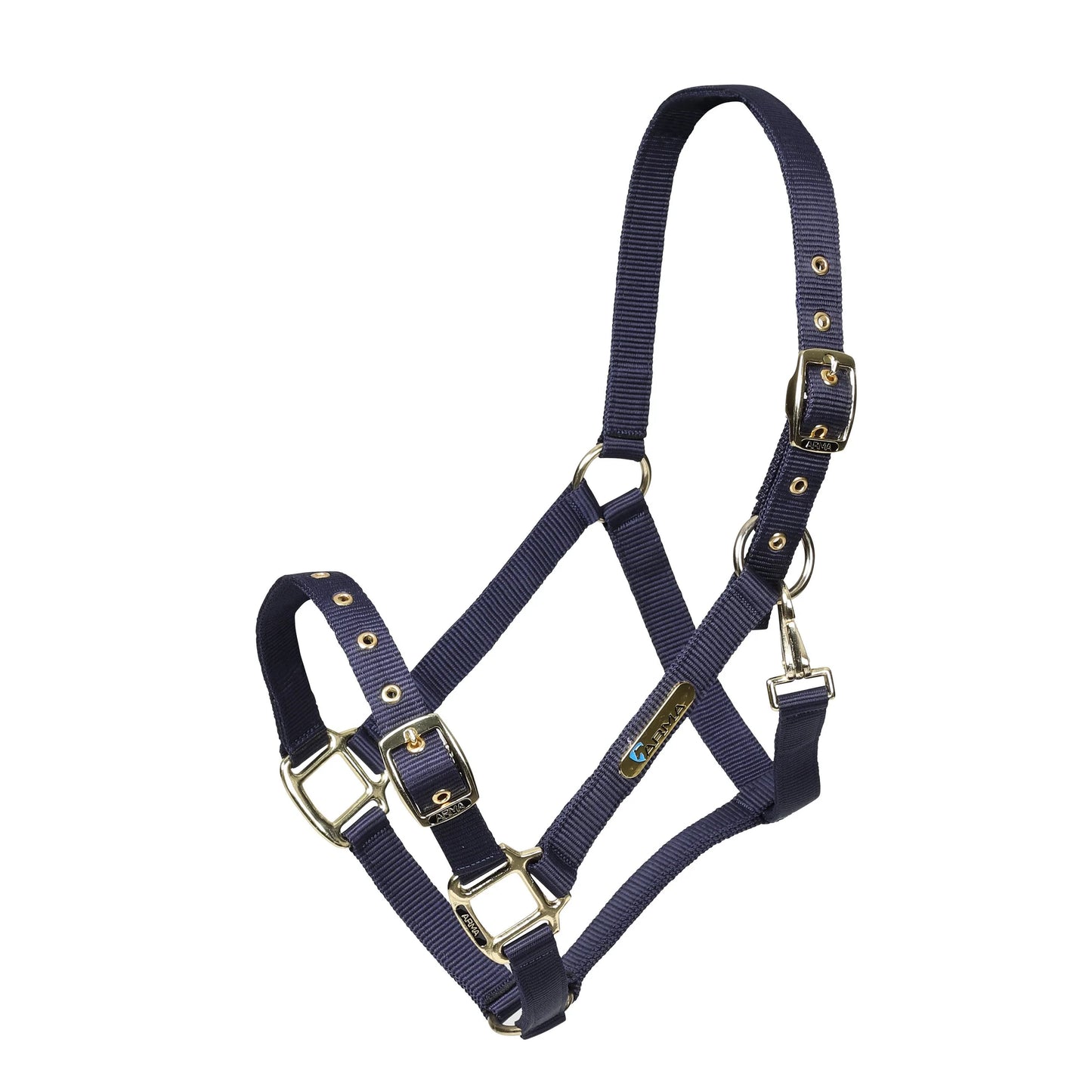 ARMA Adjustable Head Collar - طوق رأس قابل للتعديل ARMA