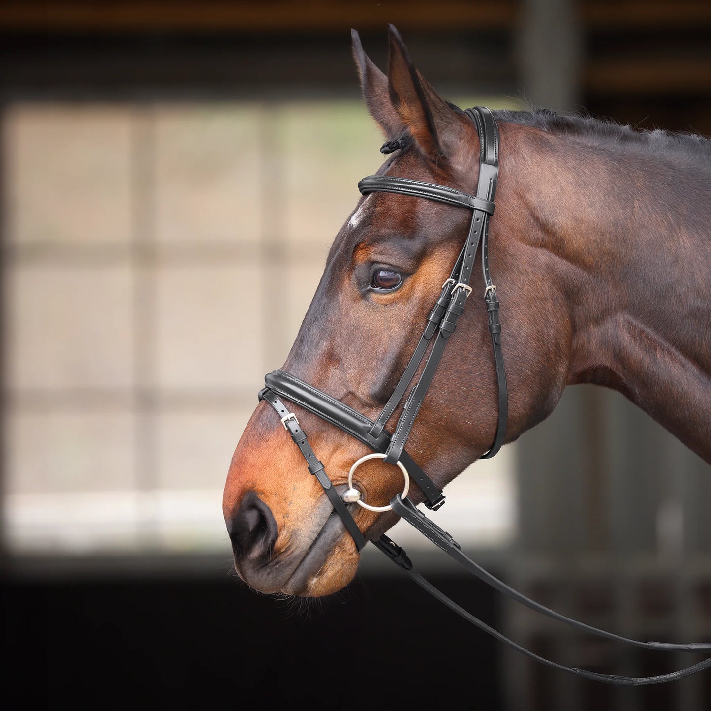 Velociti GARA Comfort Fit Bridle - لجام فيلوسيتي غارا بمقاس مريح