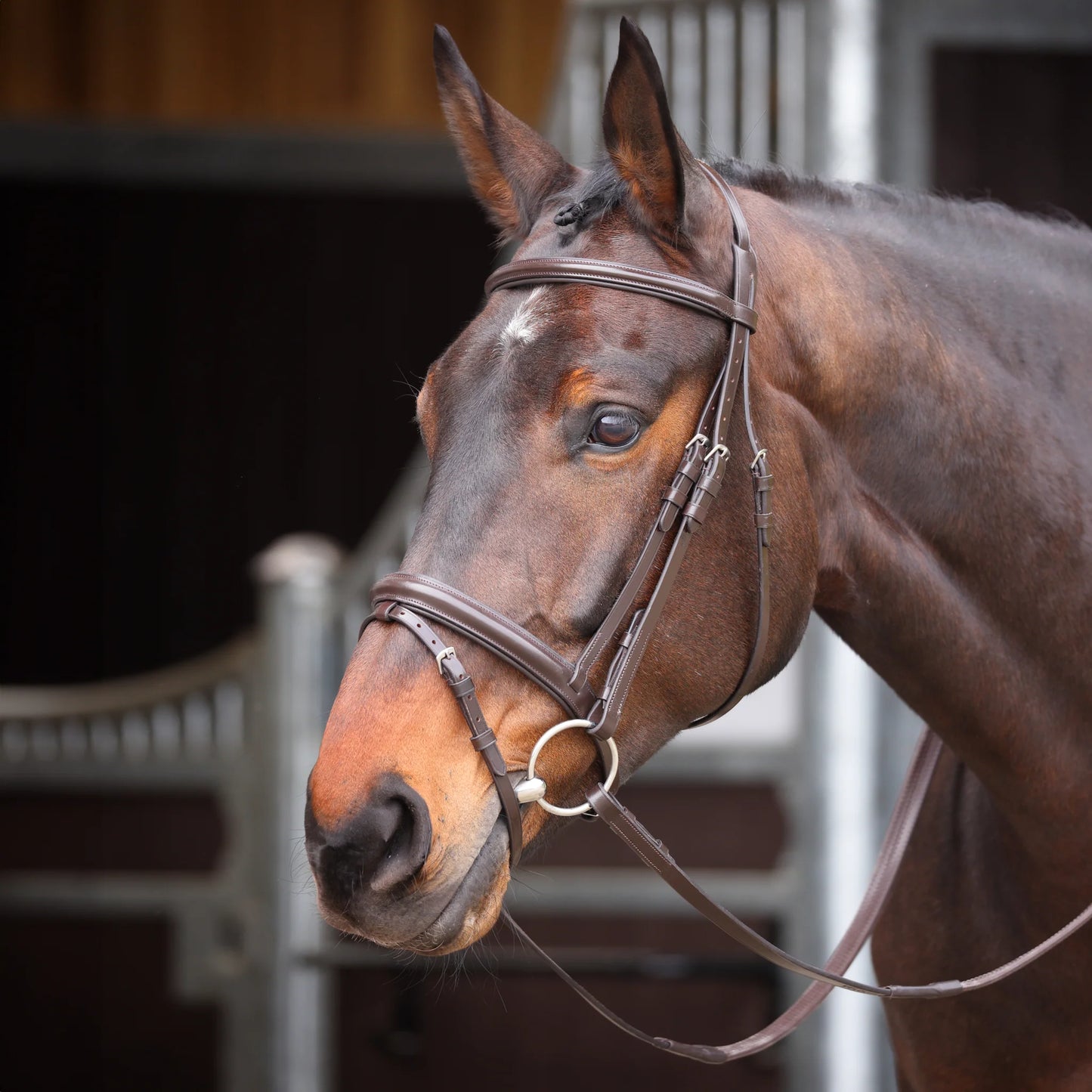 Velociti GARA Comfort Fit Bridle - لجام فيلوسيتي غارا بمقاس مريح