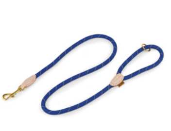 Digby & Fox Reflective Dog Lead in Royal, Nice Equestrian Doha Qatar