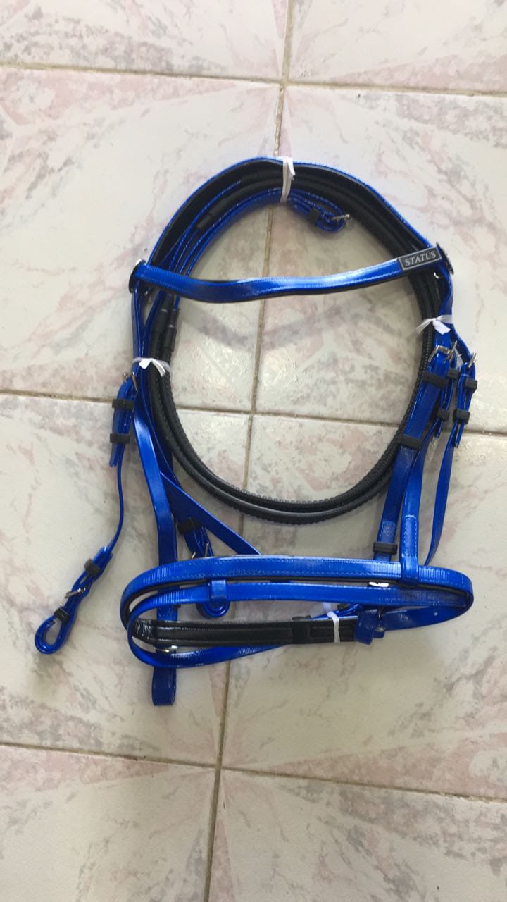 BH-2001 Status PVC Bridle