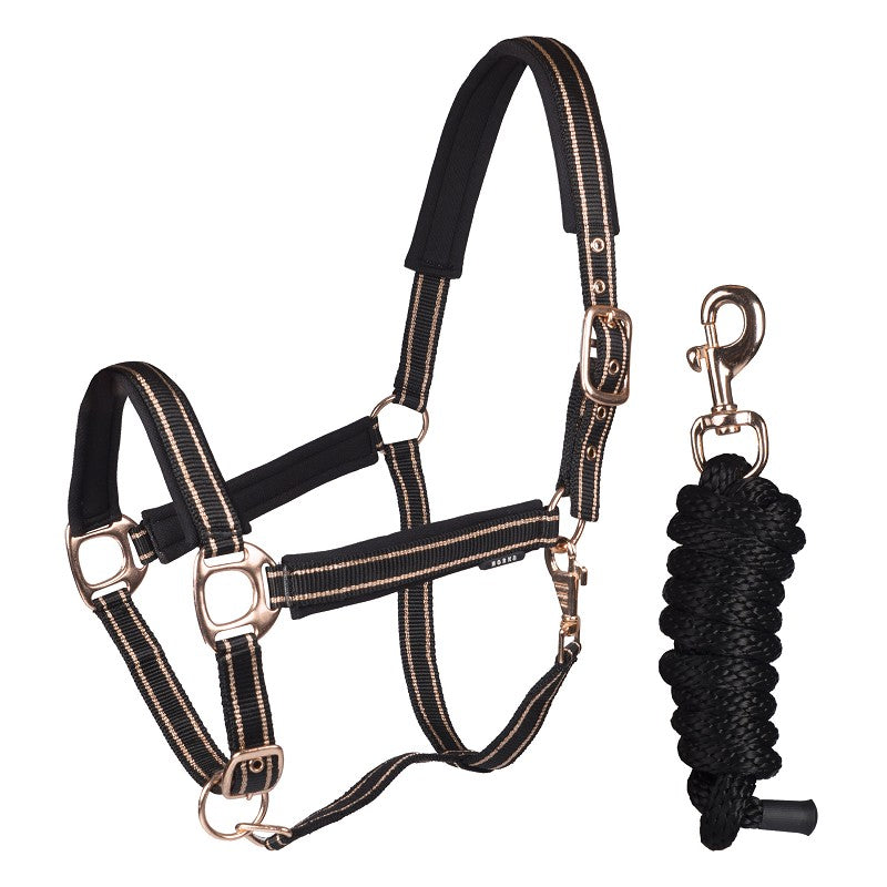 Two-tone deluxe halter set with adjustable headpiece and noseband, and a 200 cm lead rope with snap hook. The halter is padded with a mesh liner and has silver or rose gold finish.
Available with Nice equestrian Wukair Doha Qatar.