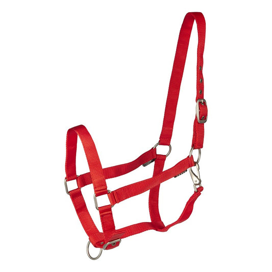 A red horse halter with metal buckles and hardware.
Halter. Horka. Available with Nice Equestrian. Wukair. Doha. Qatar.