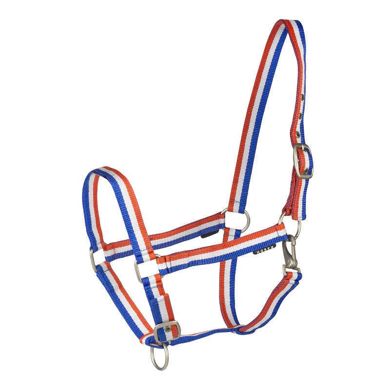 A Blue-White-Red horse halter with metal buckles and hardware.
Halter. Horka. Available with Nice Equestrian. Wukair. Doha. Qatar.