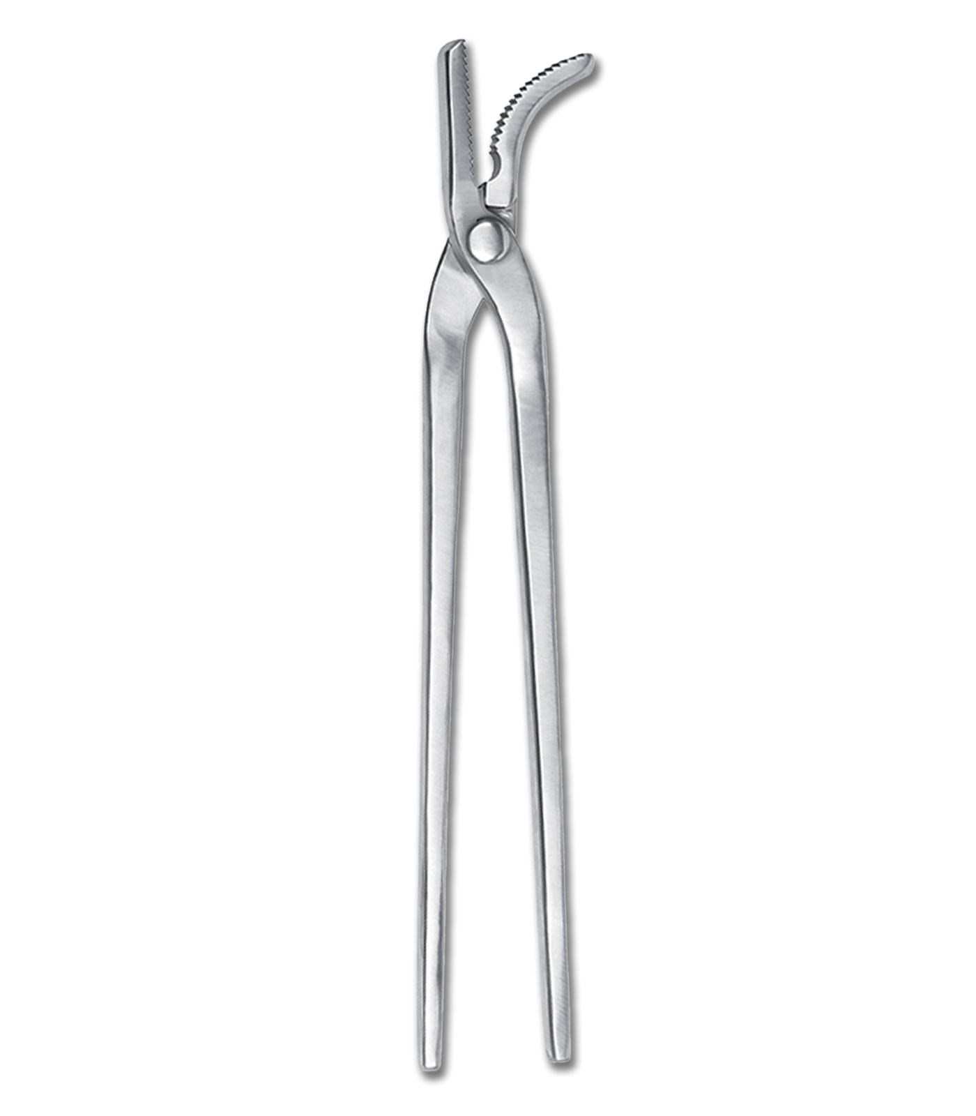 A stainless steel hoof riveting tong, with a sleek silver finish, designed for farrier work.