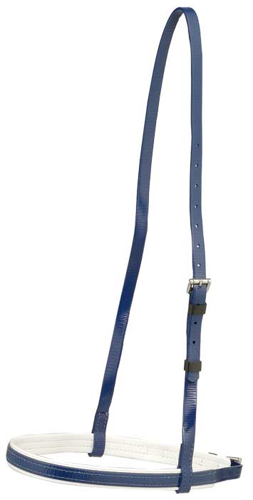 Navy blue bridle on a white background
A reliable product from Zilco Australia.
Available at Nice equestrian Wukair. Doha. Qatar.