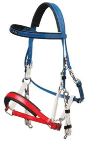Zilco Arab Horse bridle with blue and red accents on a white background.
Zilco Australia. Arab Race Bridal. Available at Nice Equestrian Wukair Doha Qatar.