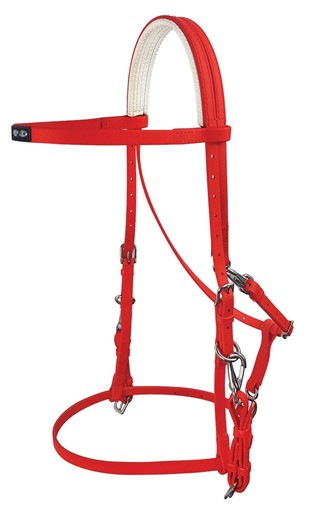 Red horse bridle with white reins on a white background.
Zilco Australia.
Available at Nice Equestrian Wukair Doha Qatar.