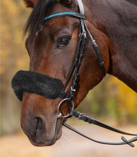 A close-up of a horse wearing a black lambskin noseband sleeve.