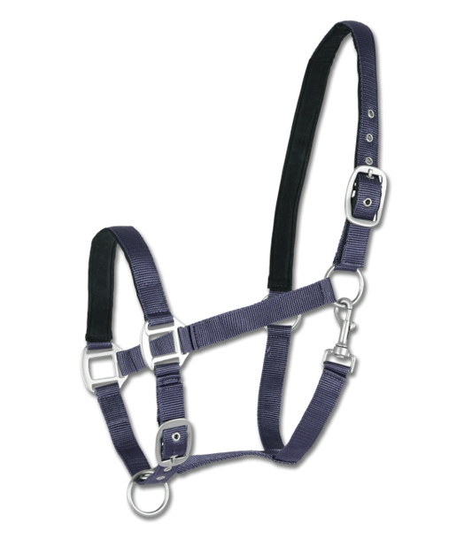 A satin halter with adjustable straps and solid fittings, designed for horses.