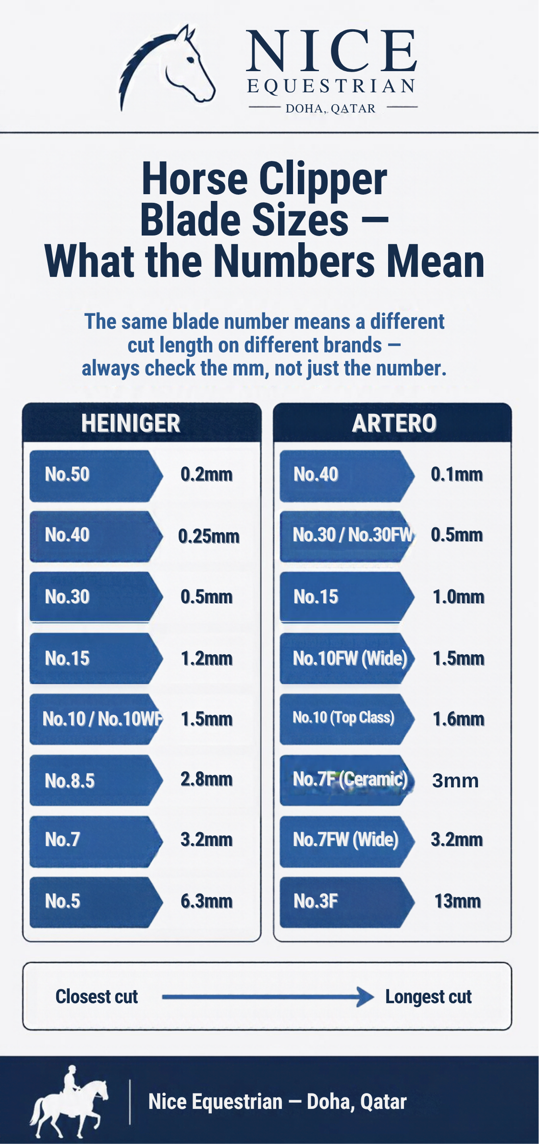 Horse Clip Types Explained: Full, Hunter, Trace, Blanket