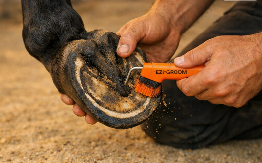 How to Care for Your Horse's Hooves in Qatar's Summer Heat