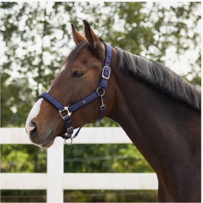 QHP Head Collar Deluxe