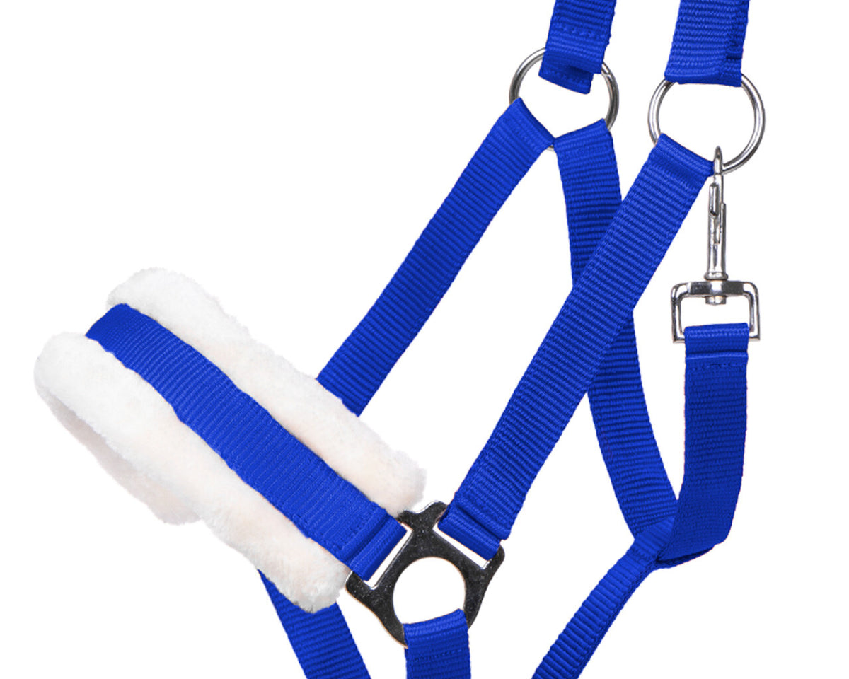 Blue nylon pet halter with a white fleece lining and silver metal hardware, shown on a plain white background.