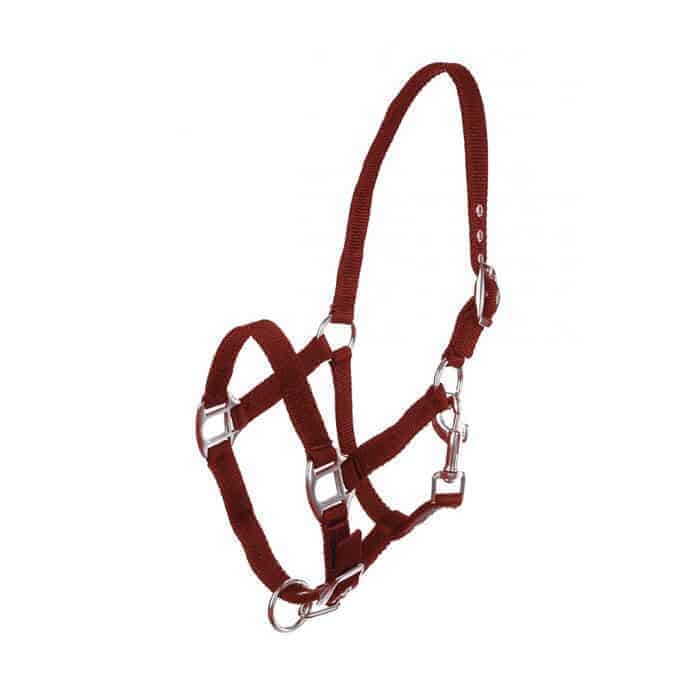 Horze Equivia Adjustable Halter, image 2 — Nice Equestrian, Wukair, Doha, Qatar