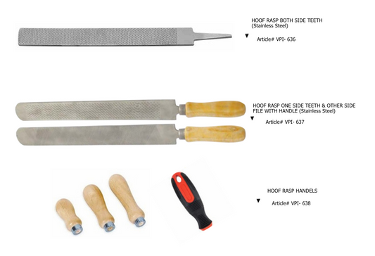 Hoof Rasp One Side Teeth + File w/ Handle