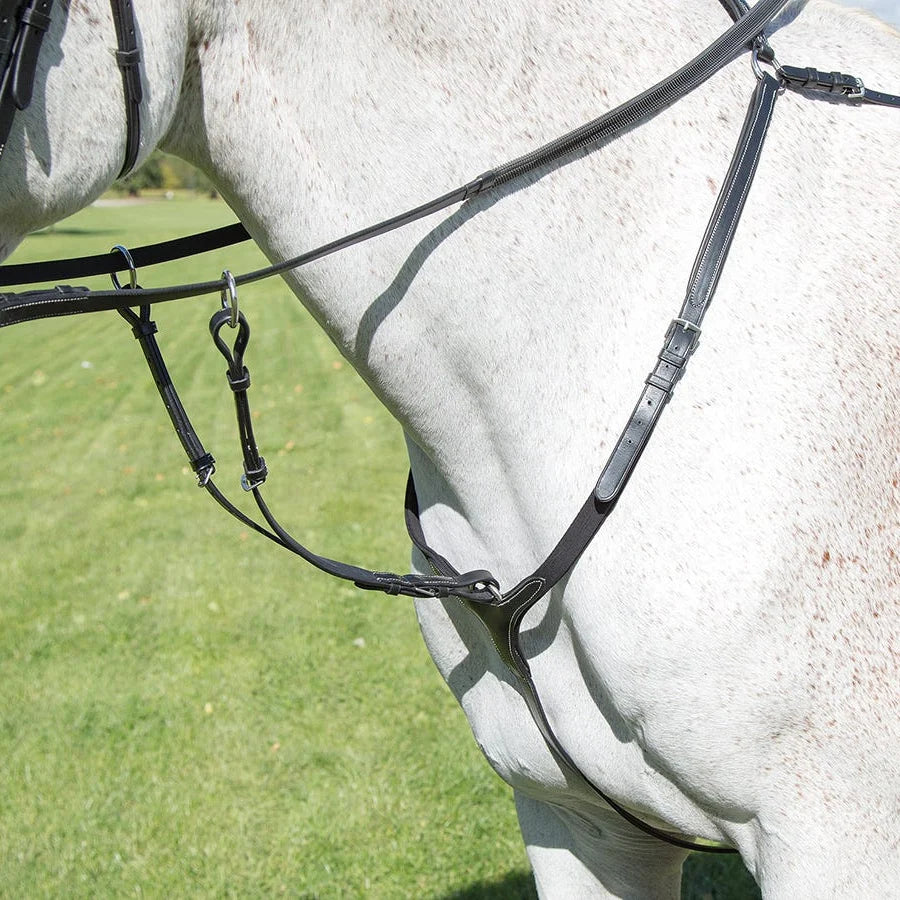 Avignon Breastplate - Black Pony