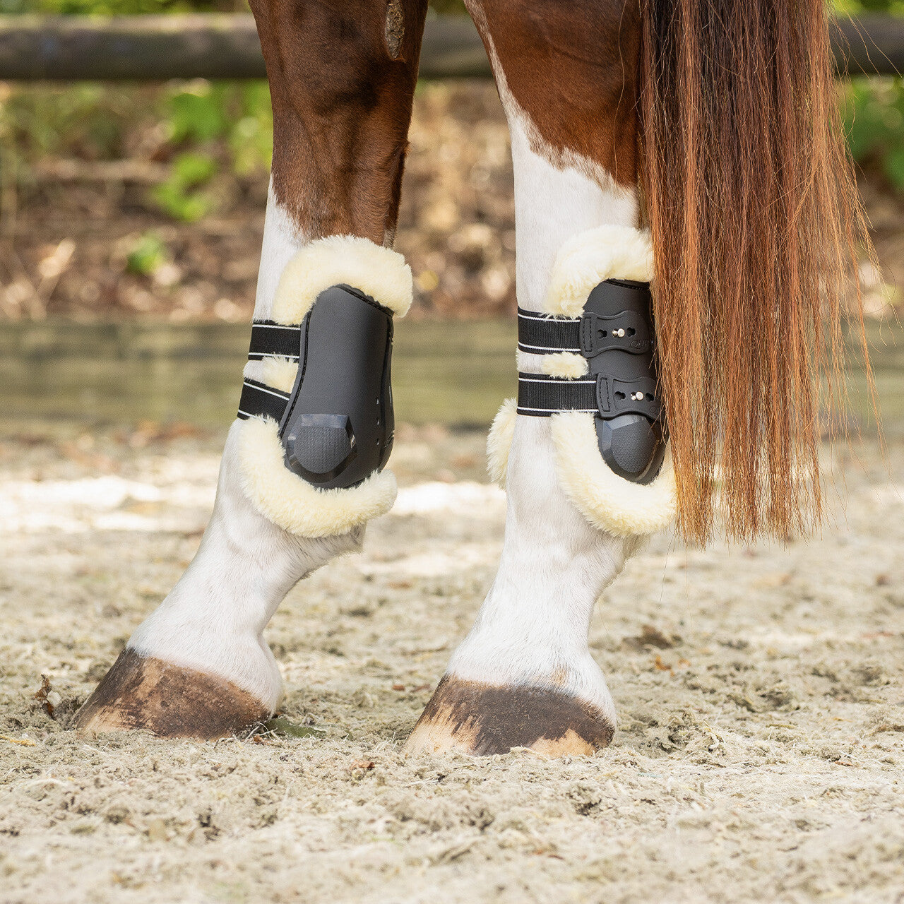 Fetlock boots Ontario