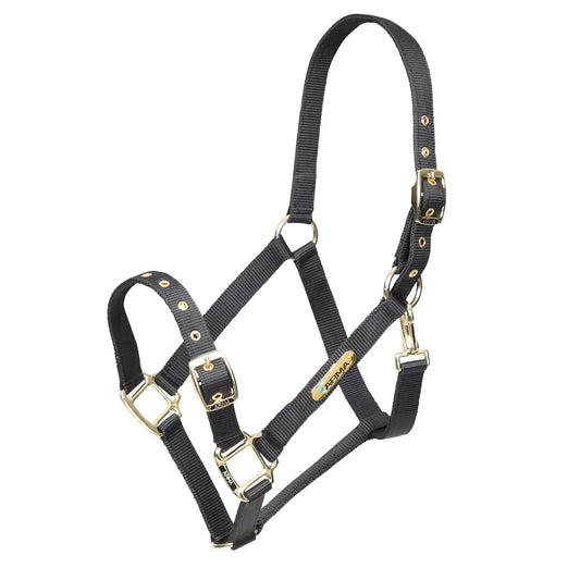 ARMA Adjustable Head Collar - طوق رأس قابل للتعديل ARMA