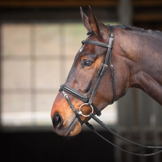 Velociti GARA Comfort Fit Bridle - لجام فيلوسيتي غارا بمقاس مريح