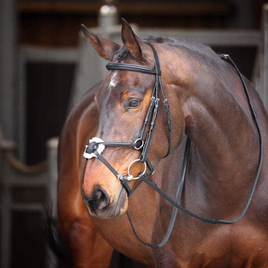 Velociti GARA Mexican Bridle - سرج فيلوسيتي جارَا المكسيكي