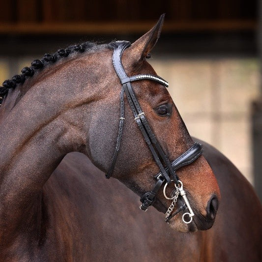 Velociti Lusso Elite Double Bridle - لجام مزدوج فائق السرعة لوكسو إيليت