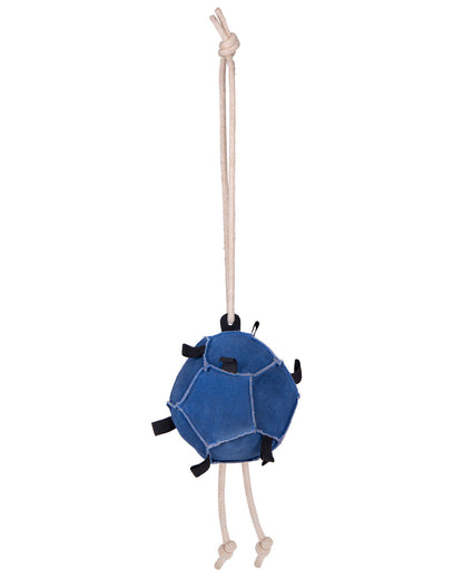 Horse toy ball