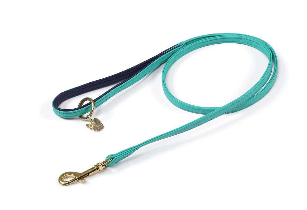 Teal dog leash with gold clasp on a white background.
Digby & Fox Padded Leather Dog Lead
Available in Nice Equestrian Wukair Doha Qatar