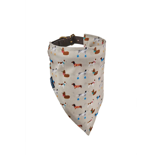 Dog bandana with small dog pattern on a beige background
This Shires Digby & Fox Bandana is perfect to add a touch of style to your dog's everyday look. Made of hardwearing woven polyester, this accessory adds durability to your pup's wardrobe. Easily slip a collar through the slot hole at the top to secure in place.

Available Nice Equestrian Wukair Doha Qatar