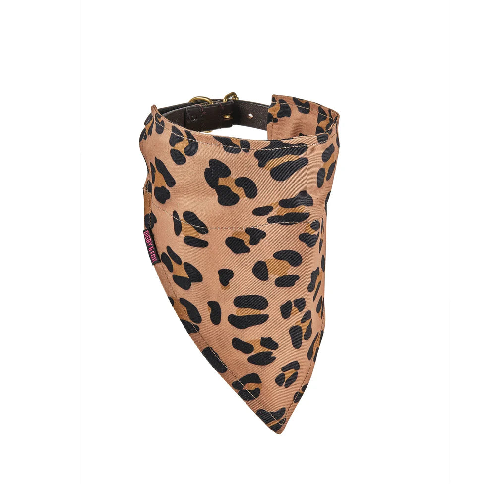 Leopard print dog bandana on a white background
This Shires Digby & Fox Bandana is perfect to add a touch of style to your dog's everyday look. Made of hardwearing woven polyester, this accessory adds durability to your pup's wardrobe. Easily slip a collar through the slot hole at the top to secure in place.

Available Nice Equestrian Wukair Doha Qatar