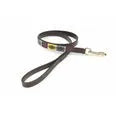 Digby & Fox Drover Polo Dog Lead, Yellow, Dark Green and Purple, Nice Equestrian Doha Qatar