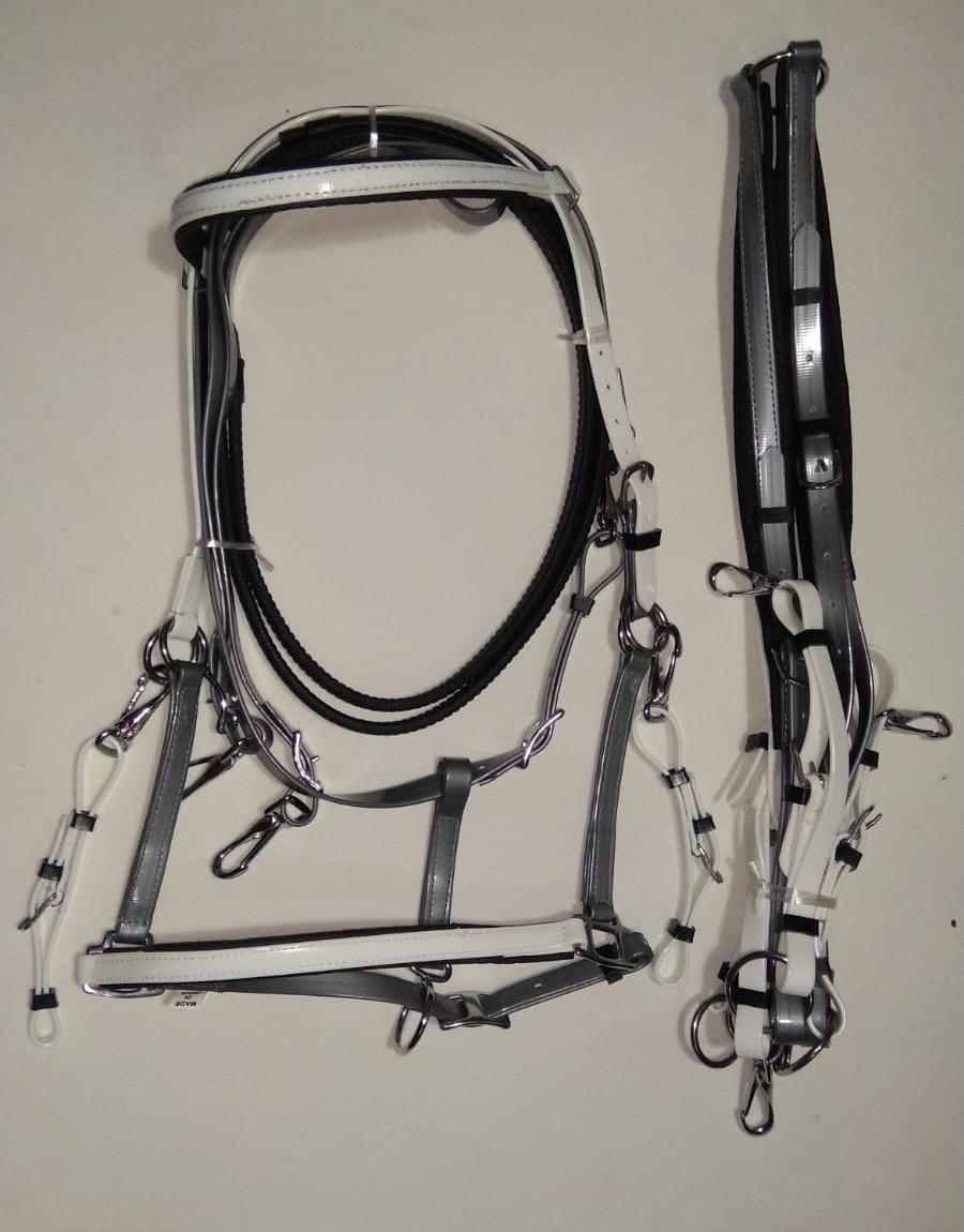 BH-2005 Status PVC Endurance Bridle W/ Breastplate