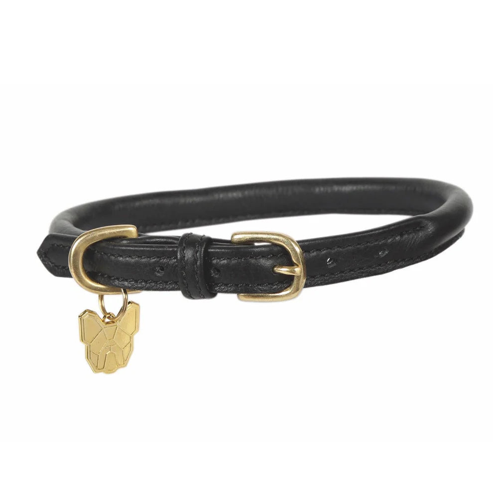 Black leather collar with gold buckle and paw charm on a white background.
Available with Nice equestrian Wukair Doha Qatar
