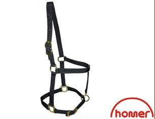 A black economy halter for horses with gold-colored metal buckles and rings.
Homer brand. Available with Nice Equestrian Wukair Doha Qatar.