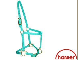 A blue deluxe foal halter with metal buckles and rings, and the brand name 'Homer' visible.
Homer brand.
Available with Nice equestrian Wukair Doha Qatar.