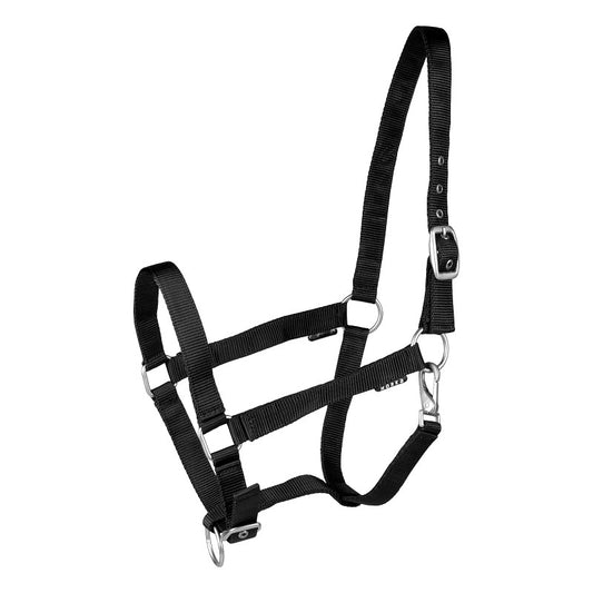 A black horse halter with metal buckles and hardware.
Halter. Horka. Available with Nice Equestrian. Wukair. Doha. Qatar.