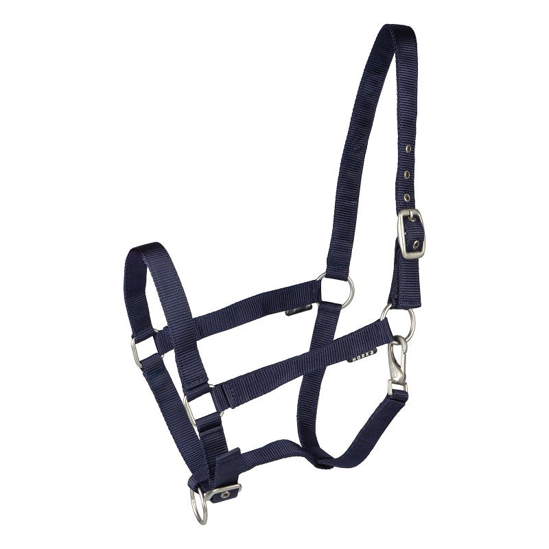 A blue horse halter with metal buckles and hardware.
Halter. Horka. Available with Nice Equestrian. Wukair. Doha. Qatar.