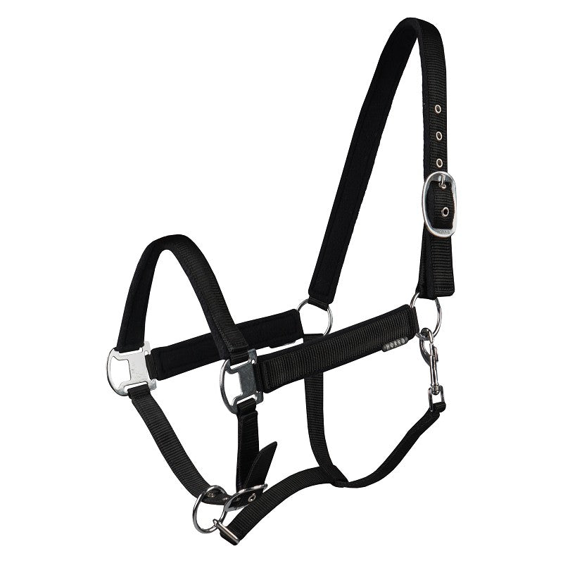 A black horse halter with adjustable buckles and soft fleece lining on the headpiece and noseband. Halter. Horka. Available with Nice equestrian. Wukair. Doha. Qatar.
