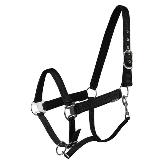 A black horse halter with adjustable buckles and soft fleece lining on the headpiece and noseband. Halter. Horka. Available with Nice equestrian. Wukair. Doha. Qatar.