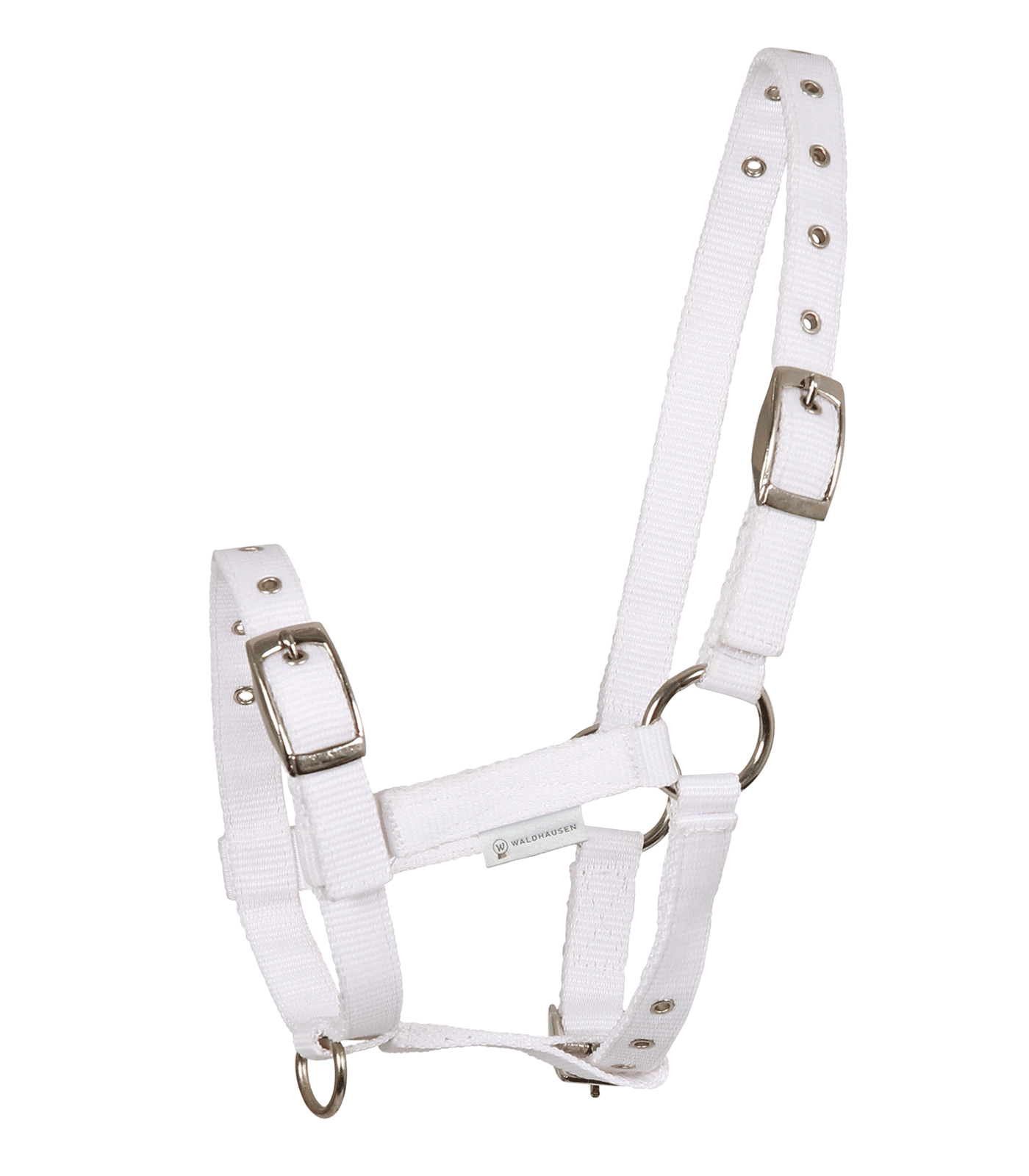 A white foal halter with silver-colored nickel-plated fittings, adjustable at head piece, noseband, and throat lash.