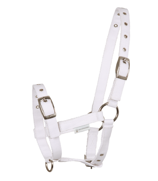 A white foal halter with silver-colored nickel-plated fittings, adjustable at head piece, noseband, and throat lash.