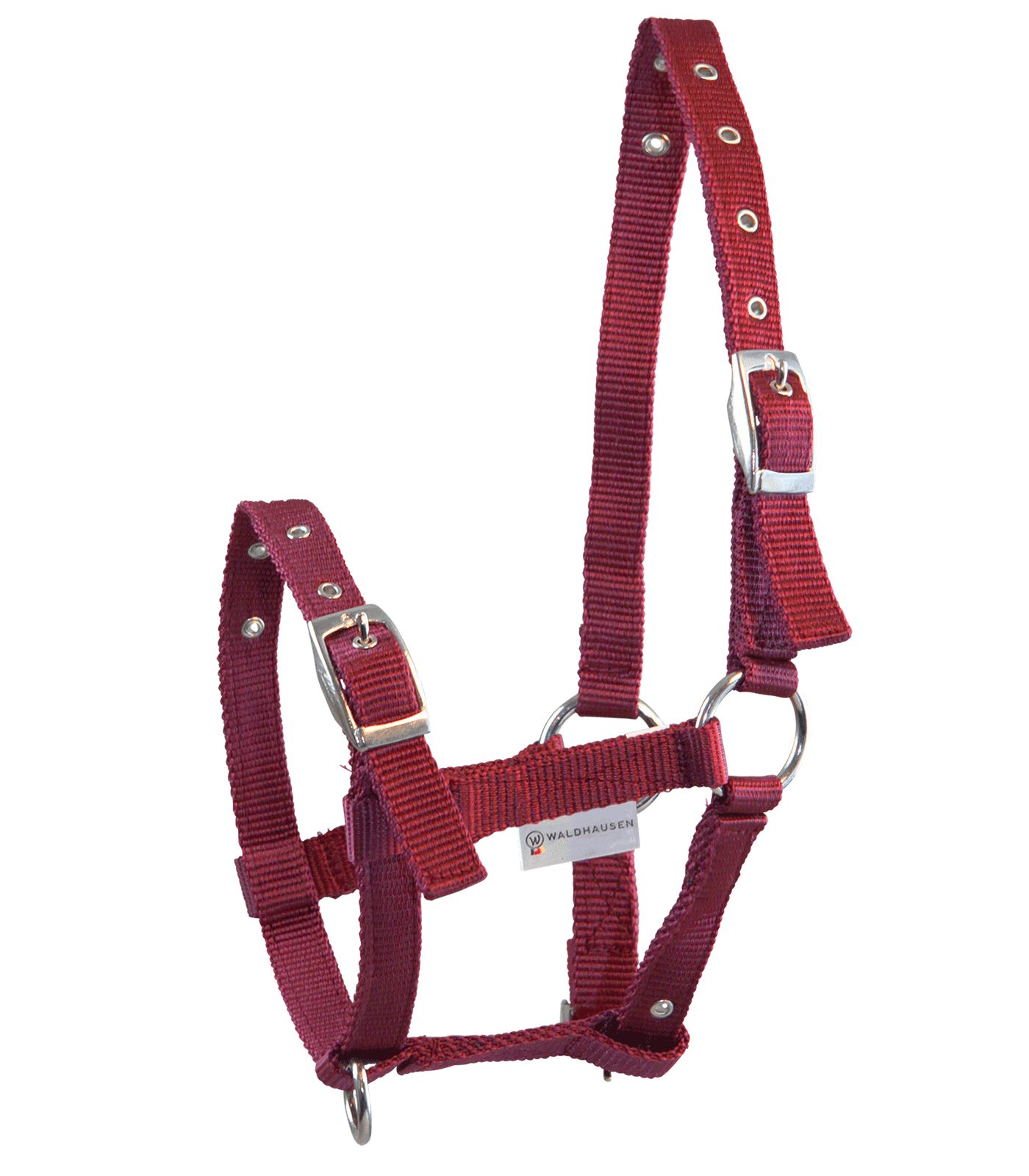 A red foal halter with silver-colored nickel-plated fittings, adjustable at head piece, noseband, and throat lash.
