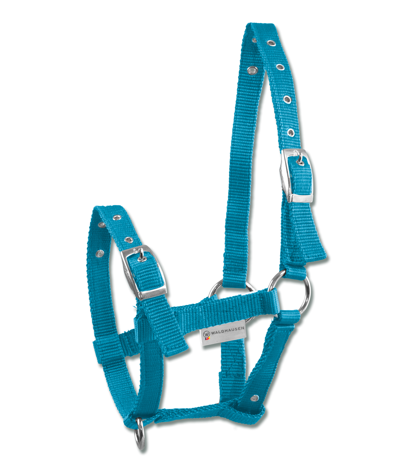 A blue foal halter with silver-colored nickel-plated fittings, adjustable at head piece, noseband, and throat lash.