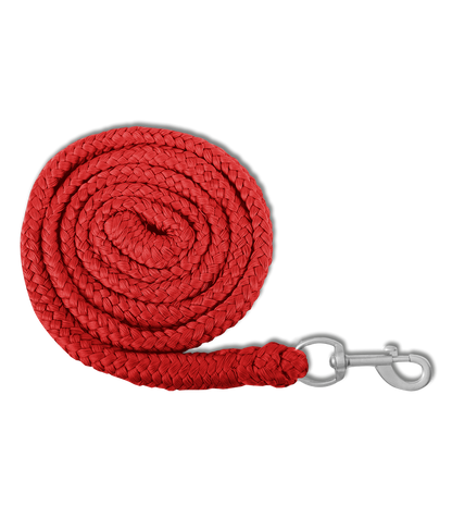 A Waldhausen lead rope with a metallic snap hook.