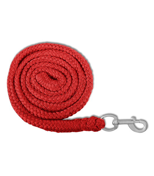 A Waldhausen lead rope with a metallic snap hook.