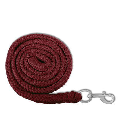 A Waldhausen lead rope with a metallic snap hook.