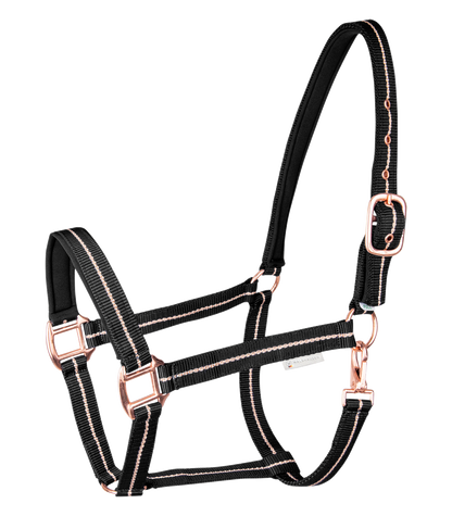 A black equestrian halter with rose gold fittings and decorative striking yarn.