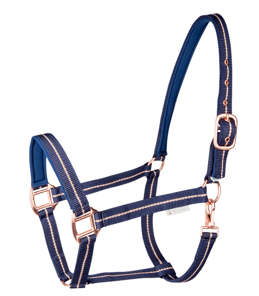A blue equestrian halter with rose gold fittings and decorative striking yarn.