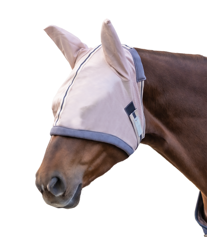 A horse wearing a white fly mask with blue trim. The mask covers the horse's eyes and has ear holes, designed to protect the horse from insects.